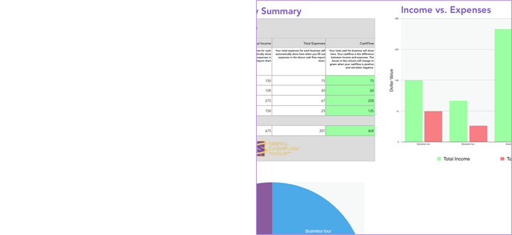 screenshot of cashflow excel template showing charts